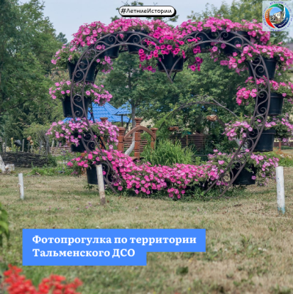 Фотопрогулка по территории Тальменского ДСО 1